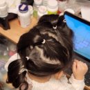 청솔 | 천안 키즈카페 4시간 반 이용료 14,500원?! 청솔방방 후기