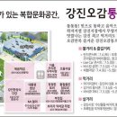 강진오감통 이미지