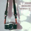 [아이와 주말 나들이] 올여름 휴가는 서울식물원으로! 지형과 기후를 담은 프리다 칼로의 정원 속으로