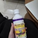 협진교통(주) | 임신일기23.26주차 배크기∙임당 재검,확정∙결혼식 주간