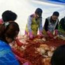 파출사랑 이미지