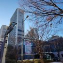 치매안심센터 주촌분소 이미지