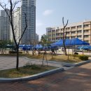 이의초등학교 이미지