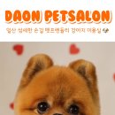다온 펫 살롱 이미지
