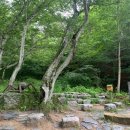구룡폭포농로 | 산행후기_mr.j 28 지리산둘레길1코스