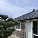 비앤비스테이 | 제주 동쪽 10만 원대 감성 숙소 구좌 한동리 에어비앤비 스테이 룰루랄라 내돈내산 솔직 후기