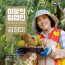 대보임업