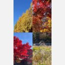 관산성 한우 이미지