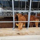 구미농장 이미지