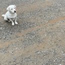 땅재농원