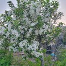 준안과의원 이미지