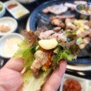 보래농장 이미지