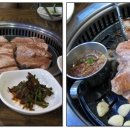 한라산똥돼지