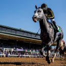 한국백신판매(주) 이미지