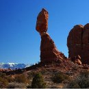 원주허브팜식물박물관 이미지