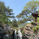 쌍용캠핑장민박 이미지