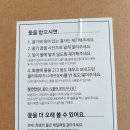오늘은꽃