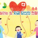 거창-거창-11 이미지