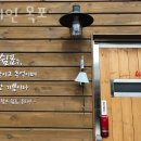 요티인 목포 이미지