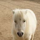 순호농장 이미지