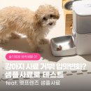 시니어프렌즈 | 강아지 사료 거부! 입맛변화? 샘플사료로 테스트 (feat. 펫프렌즈 샘플사료)