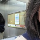 꽃:단장헤어 이미지