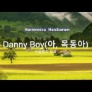 Danny Boy(아, 목동아) F - 미완성 이미지