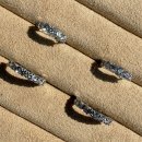 코델리아 이미지