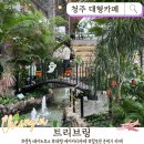 골드퀸PC | 청주 대형카페 추천 트리브링｜할로윈 분위기 가득한 식물원카페, 포토존 많은 실내 데이트코스