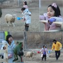 수진목장 티브이데일리