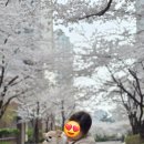예삐마트