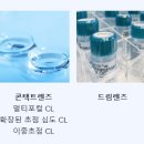 형제안경원 이미지