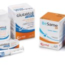 베트컴코리아 이미지