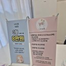 나비살롱 | 성남 정자동 고양이 미용 나비살롱 스트레스 없이 만족한 이유