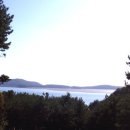 효자도2 이미지