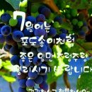 탐엔탐스커피 - 당진시 당진중앙2로 59-3 | 탐엔탐스커피