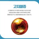 4년간 나를 괴롭히던 고지혈증, 고혈압 3개월만에 극복한 후기 (+요약추가)|작성자 산과 함께 걷는 시간