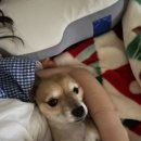 김쪼꼬미용실 이미지