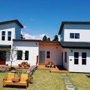 폴리민박 이미지