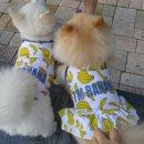 미미하우스 이미지