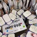더마이스