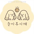 눈이부시개PET | 눈이부시개 애견유치원&amp;호텔 여기 왜 이렇게 좋지? 직접 가봤어요