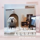 광안리 애견동반 카페 추천 부산 애견운동장 고더커피 민락DT점 &amp; 민락펫파크