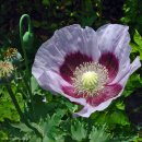 함평 천주교회 이미지