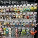 야옹아 멍멍해봐(미용) 네이버블로그