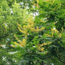 별다올근린공원 이미지