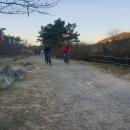 221127 새라 후기 (미용은 힘들어...)