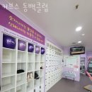 커브스동백클럽