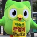 243 | 듀오링고 243일차 후기(무료버전)
