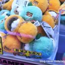 보라카이오락실 이미지